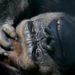 ã¤ã©ã¤ã©